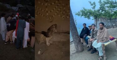 Wildlife team rescuing an injured vulture in Salarzai Bajaur and transporting it to Khar Wildlife Pheasantry for medical treatment