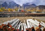 Crackdown on illegal timber shipments in Gilgit