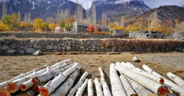 Crackdown on illegal timber shipments in Gilgit