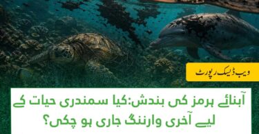 Strait of Hormuz marine life dolphins coral reefs oil spill environmental risk shipping congestion crisis