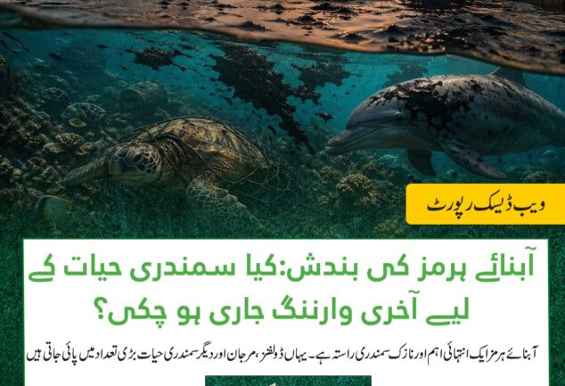 Strait of Hormuz marine life dolphins coral reefs oil spill environmental risk shipping congestion crisis