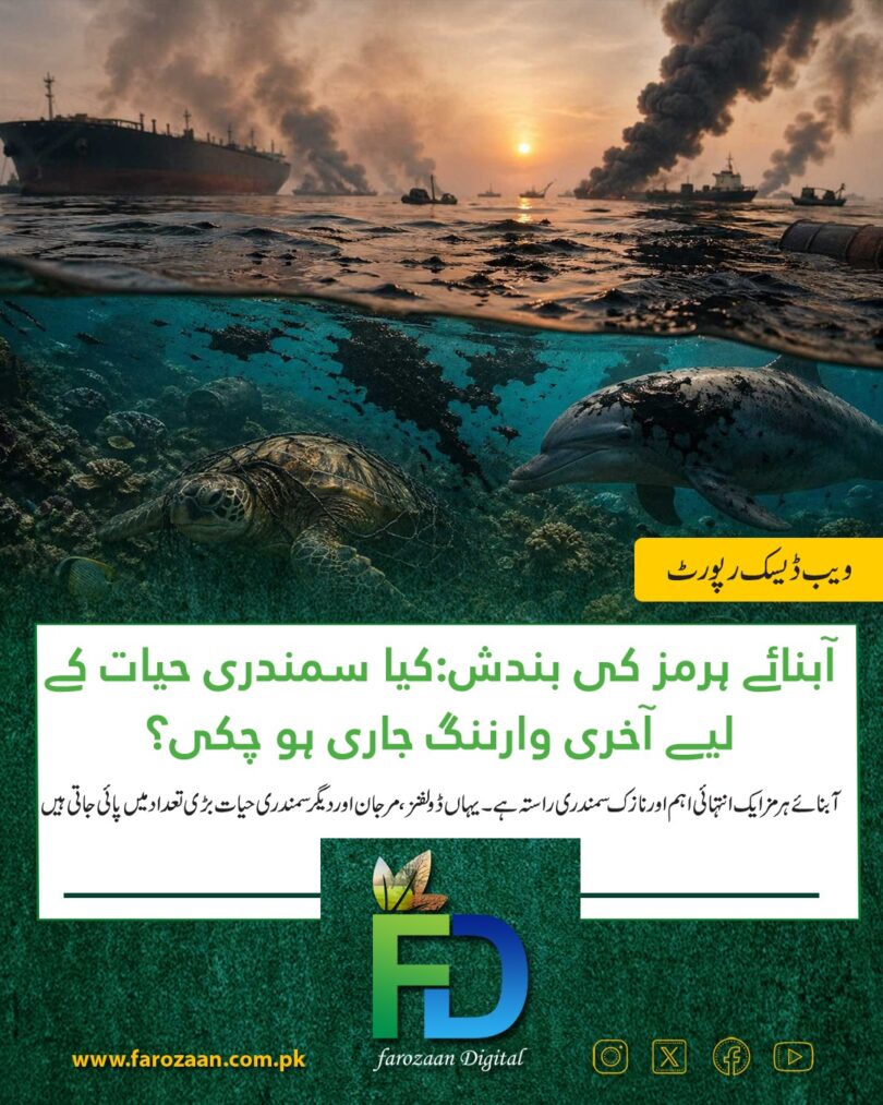 Strait of Hormuz marine life dolphins coral reefs oil spill environmental risk shipping congestion crisis