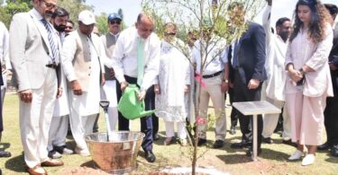 Clean and Green Islamabad: Dr. Musaddiq Malik Participates in Tree Plantation Drive