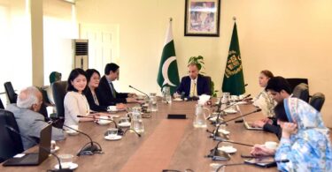 Pakistan and China emphasize cooperation in green finance and technology