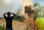 Has Global Warming Pushed the World to the Brink of Disaster?