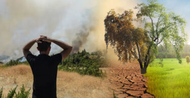 Has Global Warming Pushed the World to the Brink of Disaster?