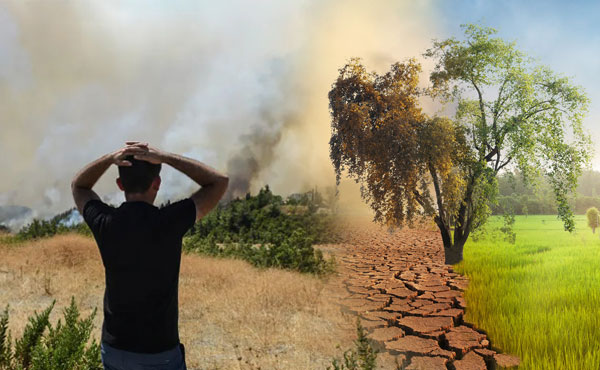 Has Global Warming Pushed the World to the Brink of Disaster?