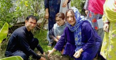 Tree Plantation Campaign: Environmental Awareness Ceremony Held in Larkana