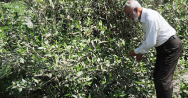 Muhammad Tahir Qureshi: From Dacoit Pro Chandio’s Kidnapping to Mangrove Restoration