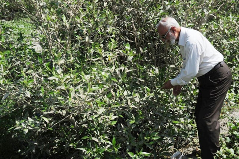 Muhammad Tahir Qureshi: From Dacoit Pro Chandio’s Kidnapping to Mangrove Restoration